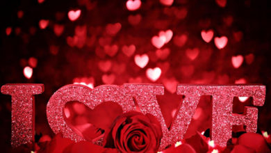 reservations gifts booking cloth for the valentine day